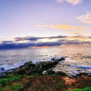 Meet your Posher, Phia